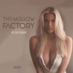 151 Stef Segers - The Mellow Factory 2025#1