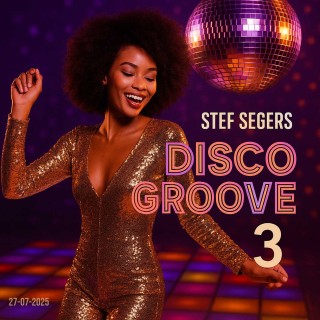 166 Stef Segers - Disco Groove 3