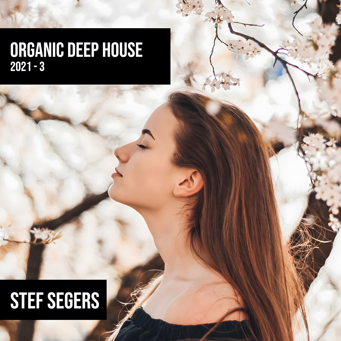 Organic Deep House 2021-3 episode artwork