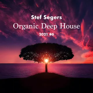 Organic Deep House 2021-6