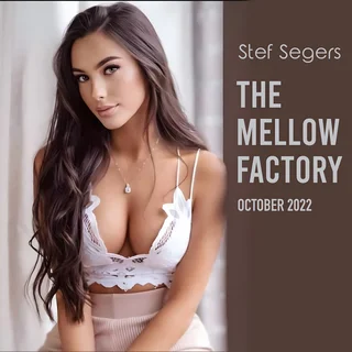 The Mellow Factory October 22