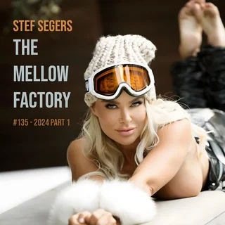 The Mellow Factory 2024-1
