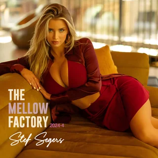 The Mellow Factory 2024-4