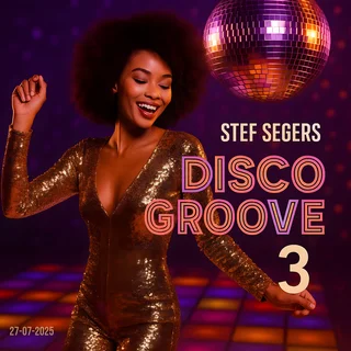 Disco Groove 3
