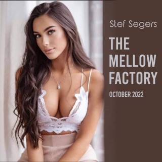 Stef Segers - The Mellow Factory October 2022